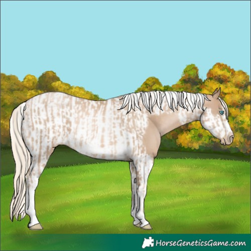 Horse Color:Chocolate Palomino Pearl Tobiano Frame and Chocolate Palomino Pearl Tobiano Frame