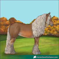 Horse Color:Chocolate Palomino 