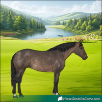 Horse Color:Brown Dun Rabicano 