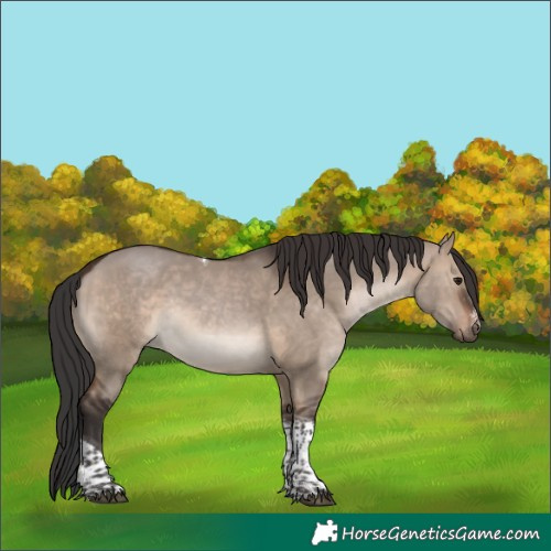Horse Color:Brown Dun Sabino Tobiano