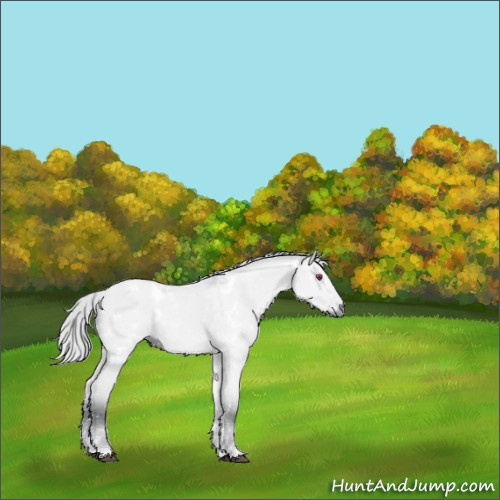 Horse Color:White Spotted Silver Brown Chinchilla Dun Tobiano 
