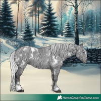 Horse Color:White Spotted Silver Brown Chinchilla Ice Dun Tobiano