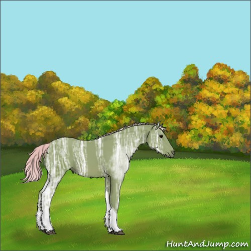 Horse Color:Watercolor Silver Black Ice Tobiano 