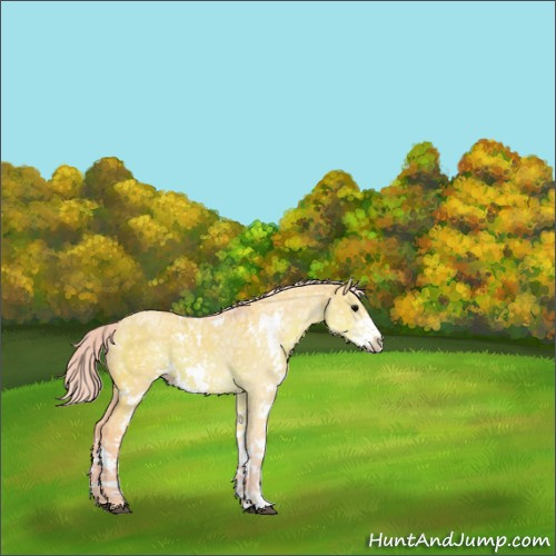 Horse Color:Watercolor Silver Grullo Ice Sabino Rabicano 
