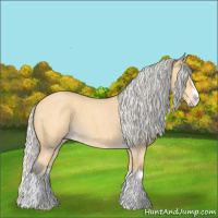 Horse Color:Silver Buckskin Roan Splash 