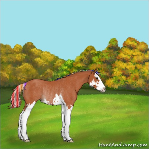 Horse Color:Painted Silver Bay Splash Rabicano 