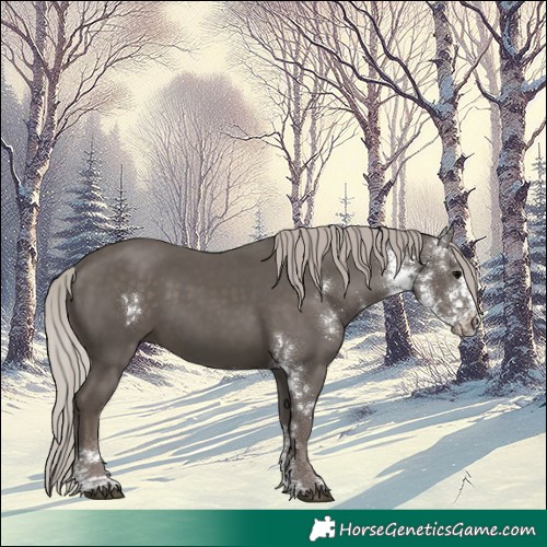 Horse Color:Silver Black Sabino 