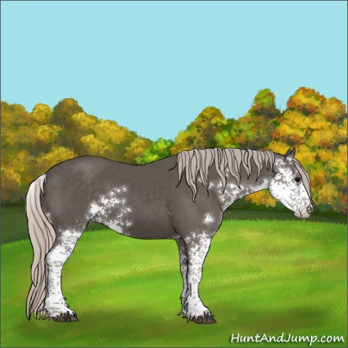Horse Color:Silver Black Sabino 