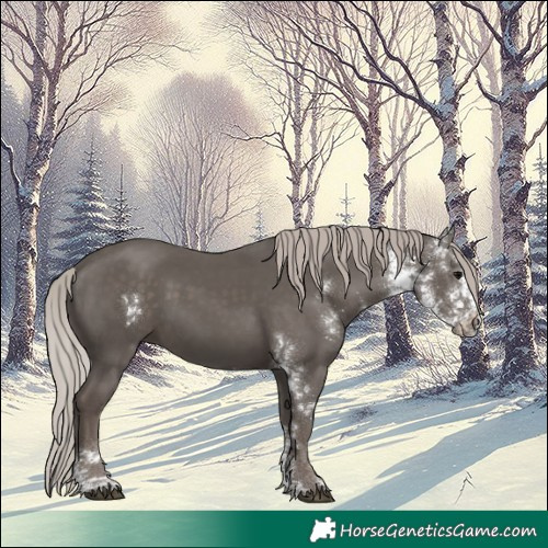 Horse Color:Silver Black Sabino