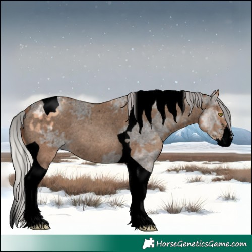 Horse Color:Void Silver Amber Champagne Ice Sabino Tobiano Varnish 