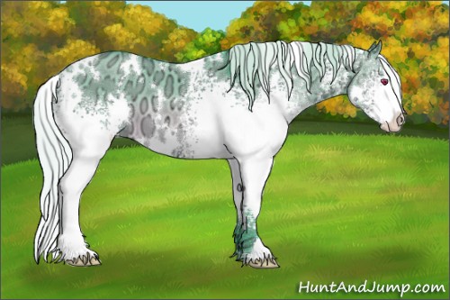 Horse Color:Watercolor White Spotted Silver Brown Chinchilla Ice Dun 