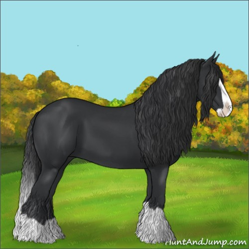 Horse Color:Black Splash