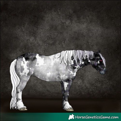 Horse Color:Plaid  White Spotted Silver Grullo Chinchilla Ice 