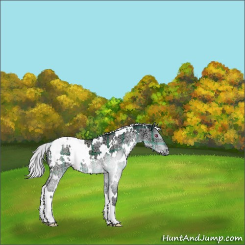 Horse Color:Plaid  White Spotted Silver Grullo Chinchilla Ice 