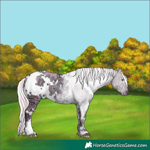 Horse Color:Watercolor Plaid  White Spotted Silver Grullo Ice Pearl 