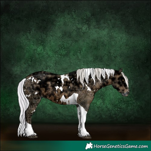 Horse Color:Watercolor White Spotted Silver Brown Ice Pearl Tobiano