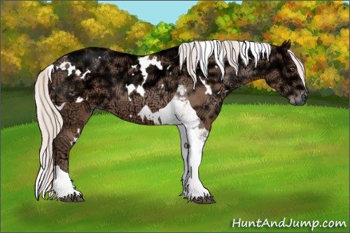 Horse Color:White Spotted Silver Brown Ice Pearl Tobiano 