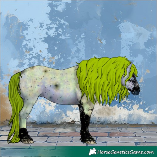 Horse Color:ERROR: UNKNOWN ANOMALY