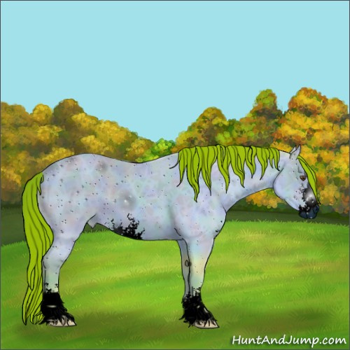 Horse Color:ERROR: UNKNOWN ANOMALY