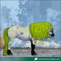 Horse Color:ERROR: UNKNOWN ANOMALY