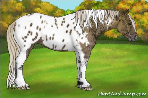 Horse Color:Watercolor Silver Grullo Ice Tobiano Appaloosa 
