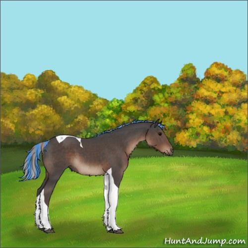 Horse Color:Painted Silver Black Tobiano 