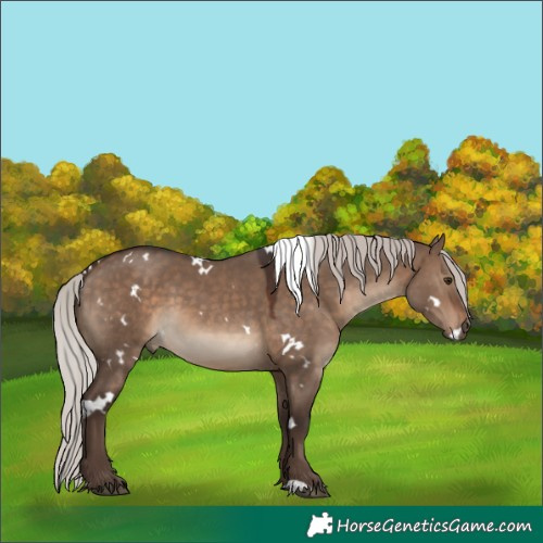 Horse Color:White Spotted Silver Brown Dun 