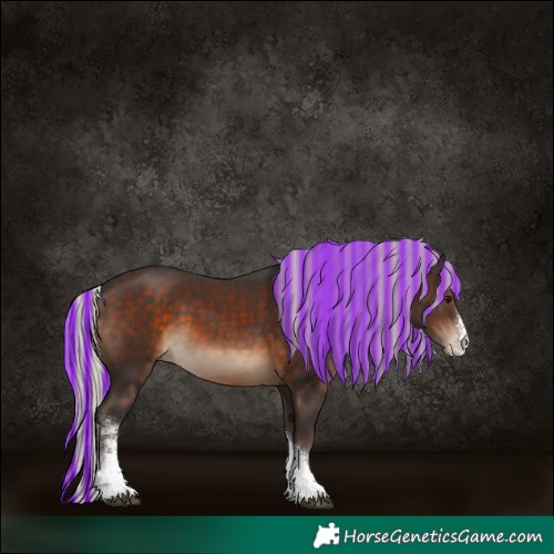 Horse Color:Painted Silver Brown Sabino 
