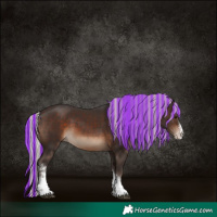 Horse Color:Painted Silver Brown Sabino