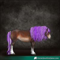Horse Color:Painted Silver Brown Sabino 