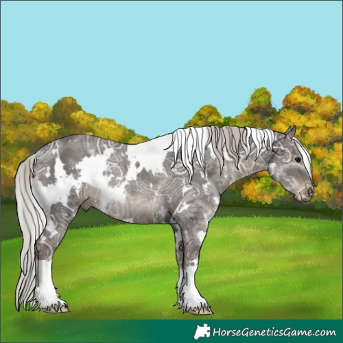 Horse Color:White Spotted Silver Black Ice Rabicano 