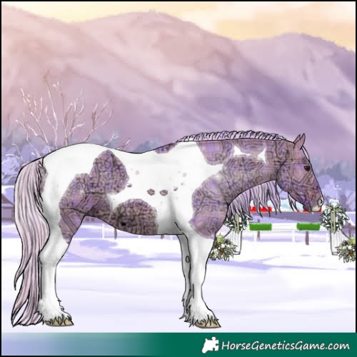 Horse Color:Watercolor Plaid  Silver Brown Ice Dun Tobiano 