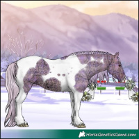Horse Color:Watercolor Plaid Silver Brown Ice Dun Tobiano