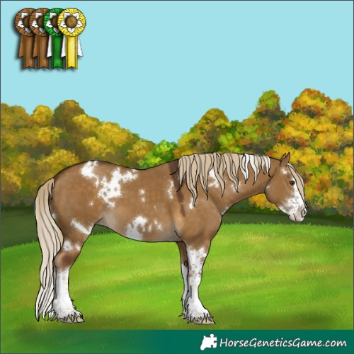 Horse Color:White Spotted Chocolate Palomino Dun Splash