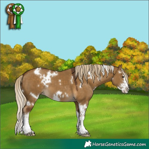 Horse Color:White Spotted Chocolate Palomino Dun Splash 