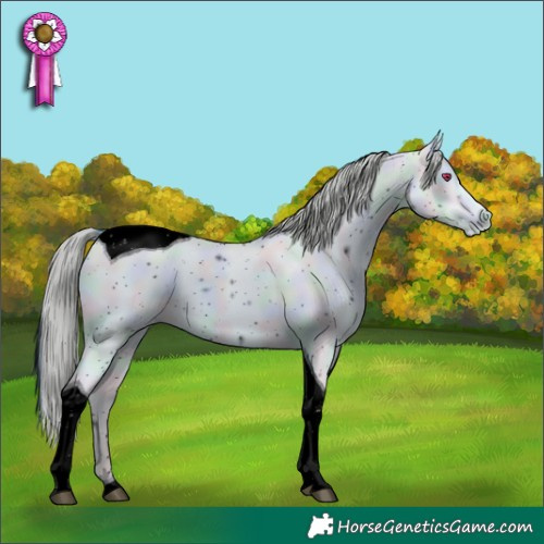 Horse Color:ERROR: UNKNOWN ANOMALY