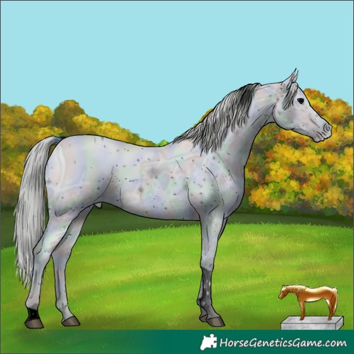 Horse Color:ERROR: UNKNOWN ANOMALY