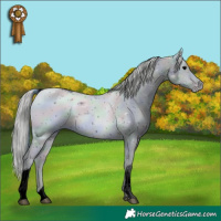 Horse Color:ERROR: UNKNOWN ANOMALY