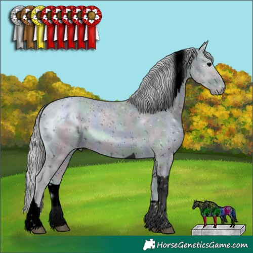 Horse Color:ERROR: UNKNOWN ANOMALY