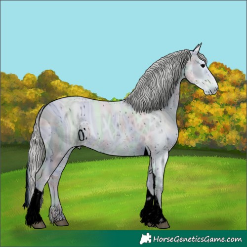 Horse Color:ERROR: UNKNOWN ANOMALY