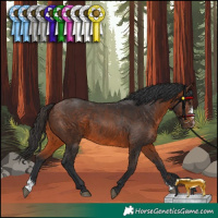 Horse Color:Brown Sabino