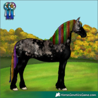 Horse Color:Void Painted White Spotted Chocolate Grullo Ice Onyx Sabino Splash 