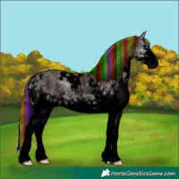 Horse Color:Void Painted White Spotted Chocolate Grullo Ice Onyx Sabino Splash 