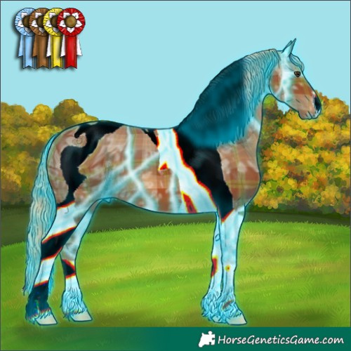 Horse Color:ERROR: UNKNOWN ANOMALY