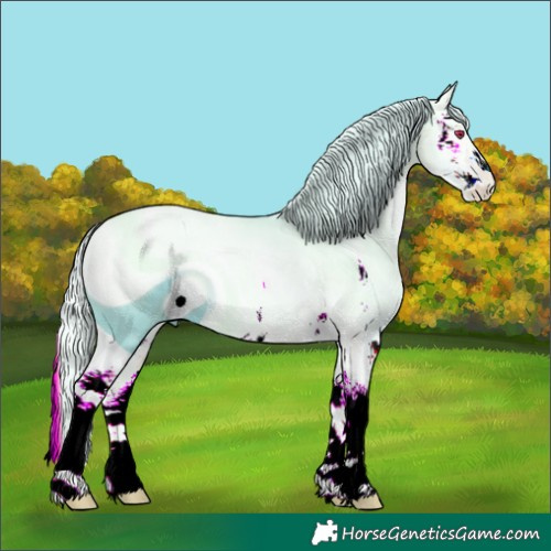 Horse Color:ERROR: UNKNOWN ANOMALY