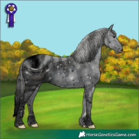 Horse Color:ERROR: UNKNOWN ANOMALY