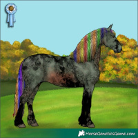 Horse Color:Void Painted Watercolor Chestnut Ice Sabino Tobiano 
