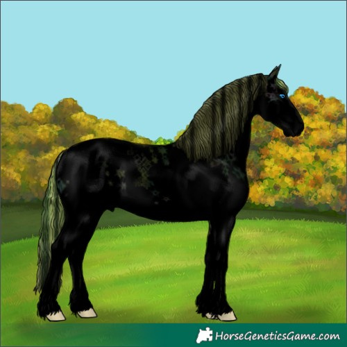 Horse Color:Void Painted Watercolor Midnight Chocolate Blue Onyx Ice Sabino Splash Tobiano Appaloosa 