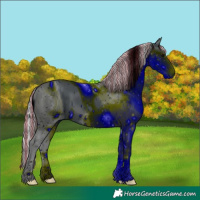 Horse Color:ERROR: UNKNOWN ANOMALY