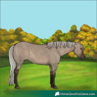 Horse Color:Silver Brown Dun 